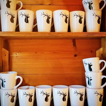 Le Cosy Departs Alpe D'huez 2 Alpes La Grave Et Col D'ornon Detente Jacuzzi Piscine Sauna Bar Billard 木屋