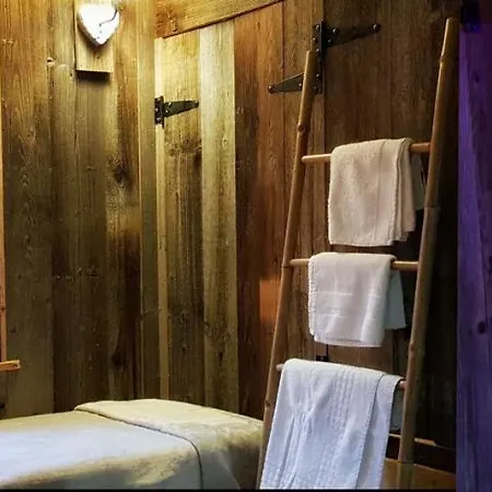 Le Cosy Departs Alpe D'huez 2 Alpes La Grave Et Col D'ornon Detente Jacuzzi Piscine Sauna Bar Billard 木屋 Le Bourg-dʼOisans