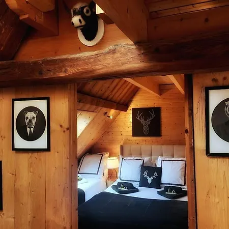 Le Cosy Departs Alpe D'huez 2 Alpes La Grave Et Col D'ornon Detente Jacuzzi Piscine Sauna Bar Billard 木屋